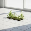 Rectangle with green plants in the middle of white tiles in the interior. Royalty Free Stock Photo