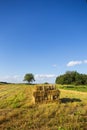 Rectangle shaped bales of straw on farmland with blue beautiful sky  harvesting. Summer sunset  warm light Royalty Free Stock Photo