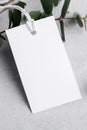 Rectangle white gift tag mockup with eucalyptus leaves on grey background, label tag mockup, Wedding favor tag