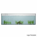 Rectangular aquarium with clear glass, containing small aquatic plants on gravel at Royalty Free Stock Photo