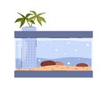 Rectangular aquarium with decor, stones and sand flat style