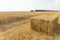 Rectangular bale of harvested wheat