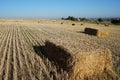 Rectangular bale of straw in the field Royalty Free Stock Photo