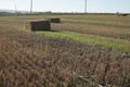 Rectangular bale of straw in the field Royalty Free Stock Photo