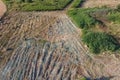 Rectangular bales of hay on the field. Hay Royalty Free Stock Photo