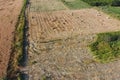 Rectangular bales of hay on the field. Hay Royalty Free Stock Photo