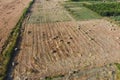 Rectangular bales of hay on the field. Hay Royalty Free Stock Photo