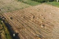Rectangular bales of hay on the field. Hay Royalty Free Stock Photo