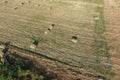 Rectangular bales of hay on the field. Hay Royalty Free Stock Photo