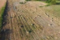 Rectangular bales of hay on the field. Hay Royalty Free Stock Photo
