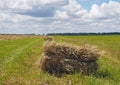 Rectangular bales of hay on the field Royalty Free Stock Photo