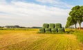 Rectangular bales  of hay wrapped with green plastic film and stacked on the field Royalty Free Stock Photo