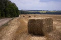 Rectangular bales of straw are scattered across the field in cloudy weather, near the forest and dirt road, far away a field of