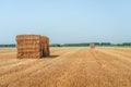 Rectangular bales of straw stacked on a stubble field Royalty Free Stock Photo