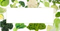 Rectangular banner. White, savoy, chinese, curly cabbage. Bok choy and kale. Broccoli and brussels sprouts. Kohlrabi and