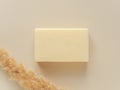 Rectangular bar of soap and dry plant on beige background