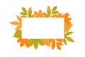 Rectangular blank autumn forest foliage frame with space for text. Colorful birch rowan maple tree falling leaves border template