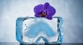 A rectangular block of transparent ice rests on a flat surface, featuring intricate