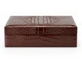 Elegant brown crocodile skin textured rectangular box on white background Royalty Free Stock Photo