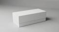 Rectangular box with a white matte Royalty Free Stock Photo