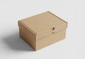 Rectangular brown cardboard box with a removable lid. Features a simple, minimalist Royalty Free Stock Photo