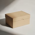 A rectangular cardboard box with a lid is placed on a flat surface. The box has a light Royalty Free Stock Photo