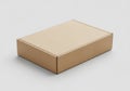 Rectangular cardboard box made of kraft paper, closed and sitting Royalty Free Stock Photo