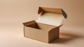 Rectangular Cardboard Box with Open Lids and Soft Lighting Royalty Free Stock Photo