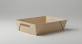 A rectangular cardboard tray with handles on the sides rests on a light gray surface. Royalty Free Stock Photo