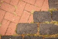 Rectangular ceramic tiles of terracotta and gray with bunches of green grass in sections.