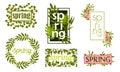Rectangular and Circular Frames and Borders with Green Twigs and Pink Flowers Vector Set Royalty Free Stock Photo