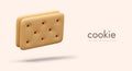 Rectangular crispy cookie sandwich. Textured vector cracker with filling