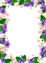 Rectangular floral frame of African violets (saintpaulia). Hand drawn watercolor and gold.