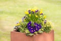 Rectangular flower pot in a park Royalty Free Stock Photo