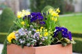 Rectangular flower pot in a park Royalty Free Stock Photo