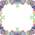 square frame decorated with succulents painted in watercolor. bohemian design for cards, spring or summer decoration, floral