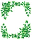 Rectangular frame, a decoration of parsley leaves.