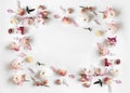 Rectangular frame made of pink and beige bell flower Royalty Free Stock Photo