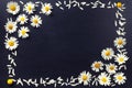 Rectangular frame of white daisies on a black background. Floral pattern with copy space lay flat. Flowers top view. Royalty Free Stock Photo