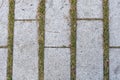 Rectangular gray paving slabs with thin green stripes of grass between the stone joints create a natural geometric pattern Royalty Free Stock Photo