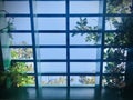 Rectangular grid skylight with blue sky background.