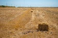 Rectangular haystacks on a field of straw, on a sunny summer day, against a background of sky and trees Royalty Free Stock Photo