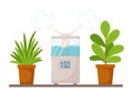 Rectangular humidifier with digital display and potted indoor plants. The concept of using an ultrasonic mist diffuser for the