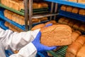 Rectangular loaf of bread in hands of baker against background of shelves with finished products in industrial bakery