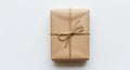 Rectangular package wrapped in brown kraft paper, tied with simple twine in a bow kno Royalty Free Stock Photo