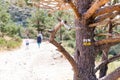 Family following the trail in the mountains. 2 colors blaze on the tree.