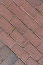 Texture of the cobblestone sidewalk on top