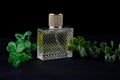 A rectangular perfume bottle on a black background with sprigs of greenery