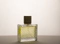 Rectangular perfume bottle on a light background