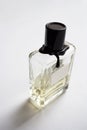 Rectangular perfume bottle on white background